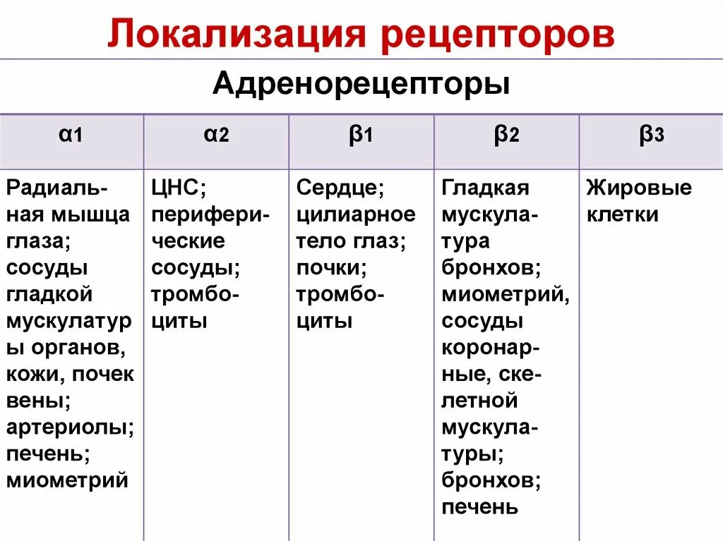 Альфа и бета адренорецепторы. Локализация бета 1 адренорецепторов. Бета 2 адренорецепторы локализация. Локализация Альфа 1 адренорецепторов. Локализация Альфа 2 адренорецепторов.