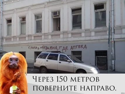 Слышь обезьяна