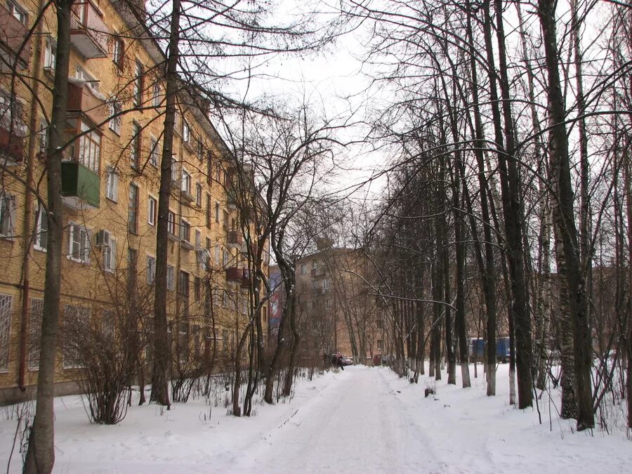Центральная 27 фрязино. Город фрязино улицы. Фрязино площадь города. Старый город фрязино. Фрязино 1990.