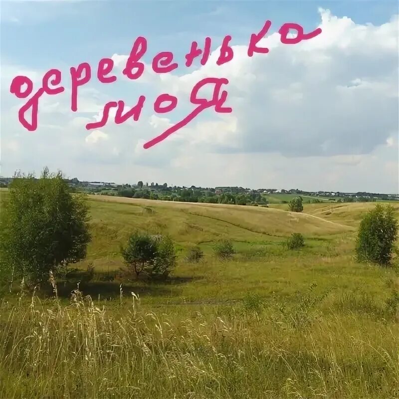 погода дельная дубрава тамбовская область