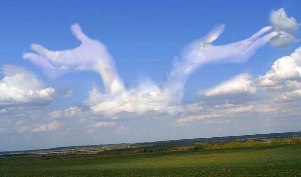 Фигуры из облаков. Фигуры из облаков на небе. Облака похожие на фигуры. Облака похожие на животных.