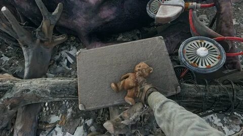 Где найти мишку