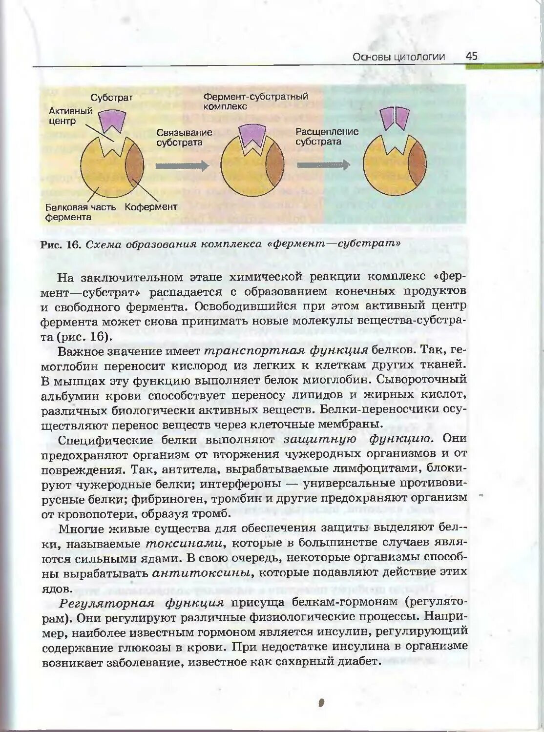 Учебник по биологии 10 класс пасечник читать. Биология 10 11 класс Криксунов Пасечник. Каменский Криксунов Пасечник биология 10 11 класс. Учебник биологии 10-11 класс Каменский Криксунов Пасечник. Биология 10 класс учебник Каменский Криксунов Пасечник.