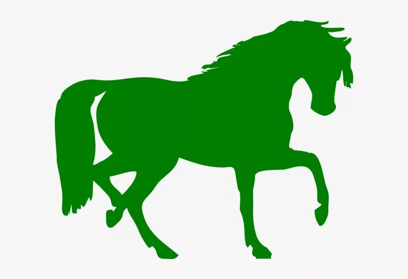 Зеленую лошадку. Зеленая лошадь. Лошадь зеленого цвета. Лошадь на зеленом фоне. Лошадь силуэт зеленая.