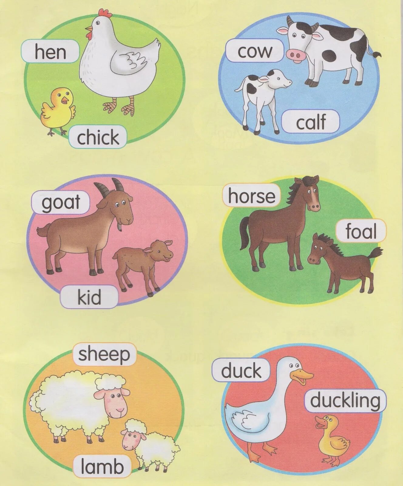Домашние животные на англ. Животные и их Детёныши на английском языке. Животные на английском для малышей. Домашние животные на английском. Домашние животные для детей по английскому языку.