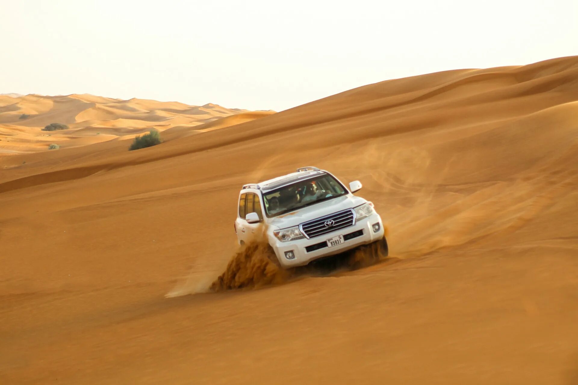 Safari tour dubai. Утренний сафари dubai. Сафари дубай фото. Сафари в дубае отзывы. Джип сафари дубай.