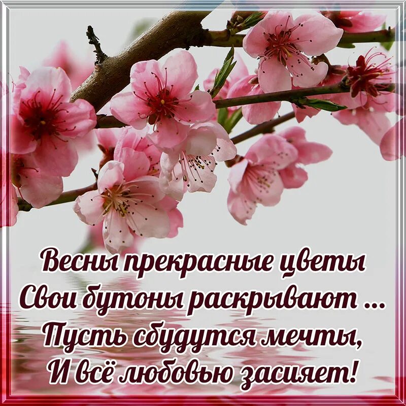 Добрый день картинки с пожеланиями апрель. Цитаты про весну. Открытки со стихами о весне. Красивые фразы про весну.