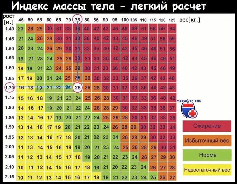 Что такое имт выбери один верный ответ. Ожирение таблица рост вес. индекс массы тела таблица для женщин. как рассчитывается коэффициент массы тела человека. имт таблица для женщин по возрасту и росту.