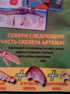 Собери артема
