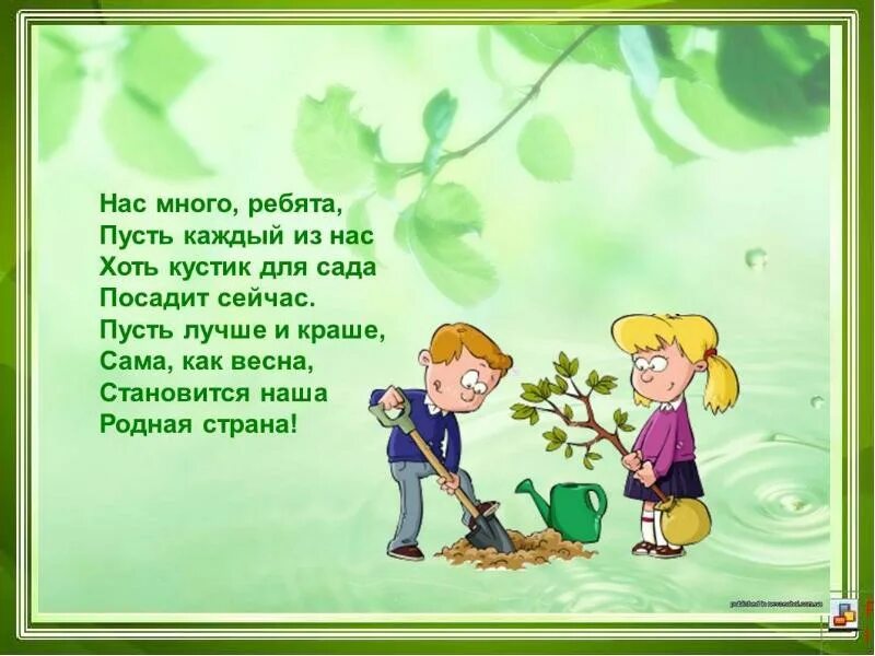 Стих ребятам свою. Стих берегите лес ребята. берегите лес стихи для детей. берегите лес стихотворение для дошкольников. стих как дошколята берегут природу.