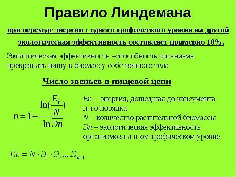 Правило Линдемана. Правило Линдемана экология. Трофический уровень и другие. При переходе с одного трофического уровня на другой. 0 0 энергия перехода