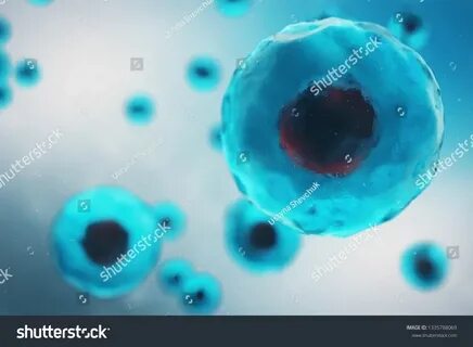 The second of cells