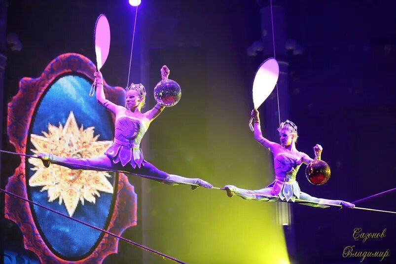 циркоцирковые профессии. цирковые специальности. цирковые специальности. профессии в цирке для детей. профессии в цирке.