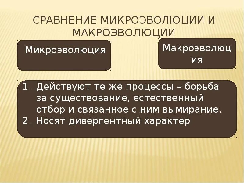 Материал для микроэволюции. Сравнение микроэволюции и макроэволюции. Материал для эволюционного процесса микроэволюции и макроэволюции. Сравнительная таблица макро и микроэволюция. Понятие о макро и микроэволюции.