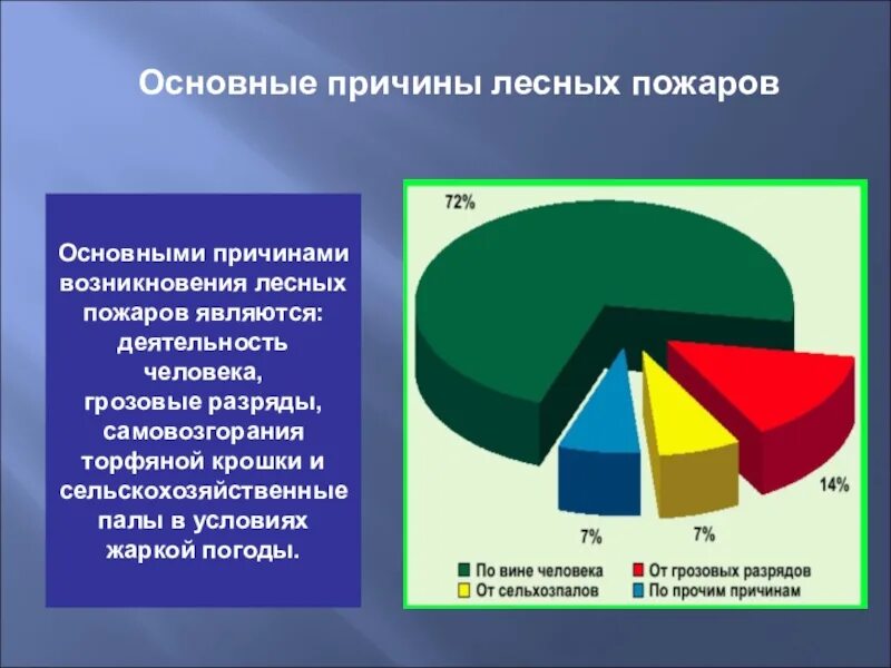 Основные факторы возникновения пожара. Причины возникновения лесных пожаров. Причины возникновения местных пожаров. Основные причины возникновения лесных пожаров. Основные причины возникновения пожаров.