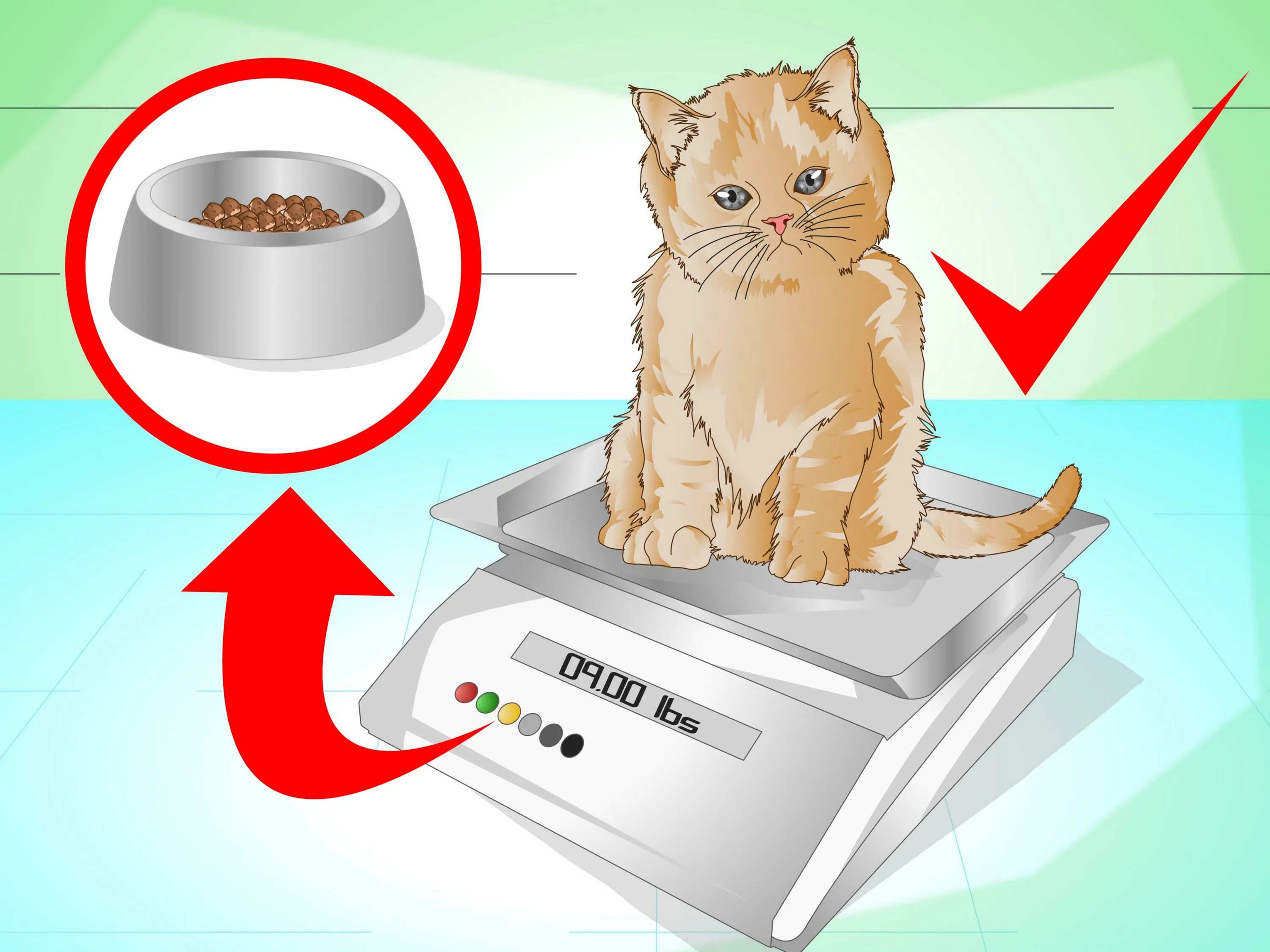 How to put