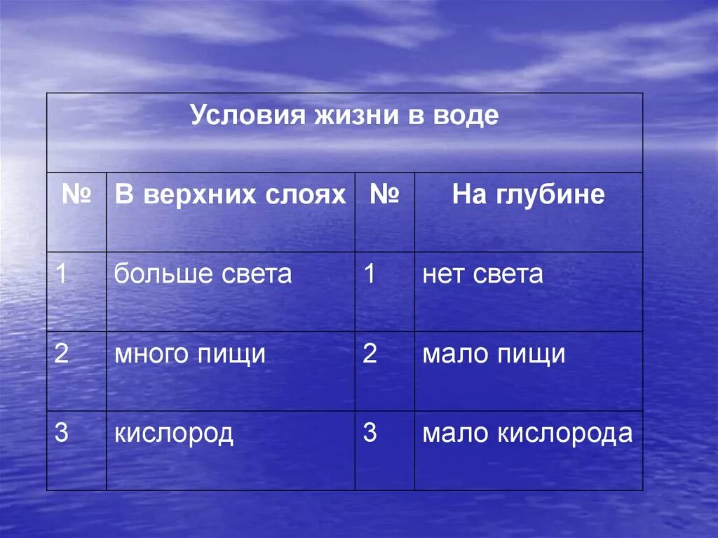 Условия жизни в воде. Условия в морях и океанах. Водные условия жизни. Условия жизни в океане.