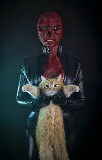 Кот джокер