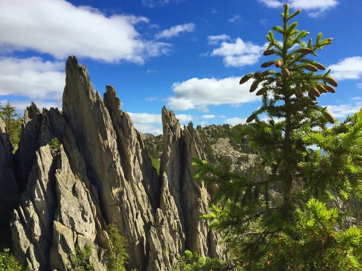 гора таганай златоуст. златоуст таганай. парк таганай где. заповедники южного урала таганай. златоуст заповедник таганай.