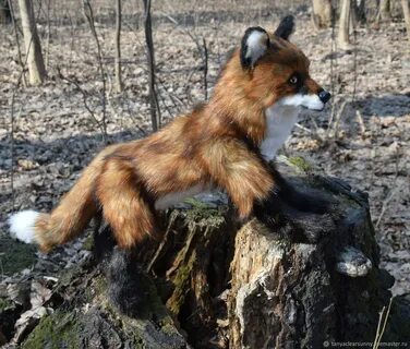 Большие лисички
