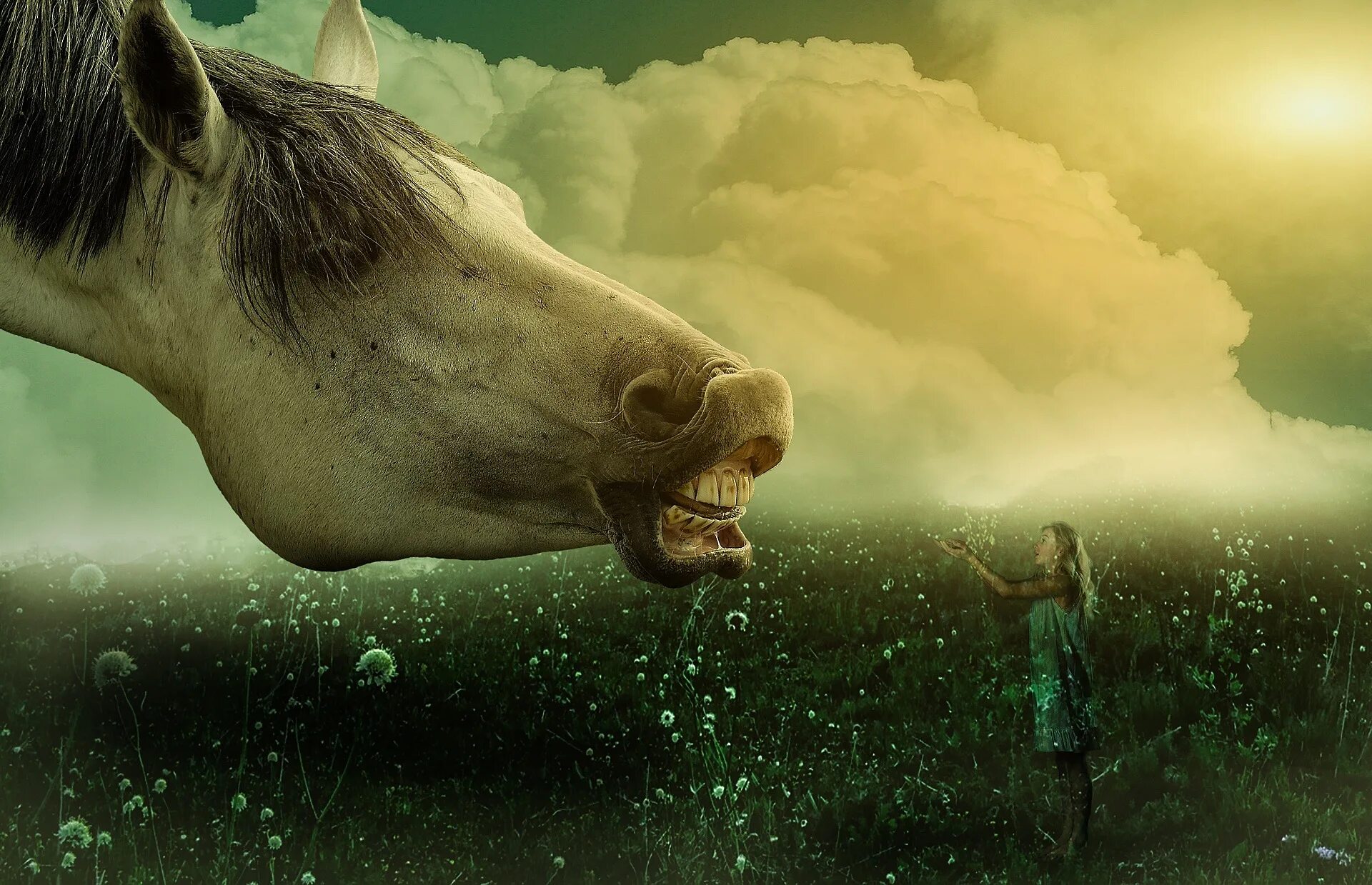 Animal dream. Лев и лошадь. Девушка с лошадью. Фон для баннера лошади.