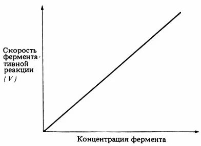 Зависимость активности ферментов от концентрации субстрата