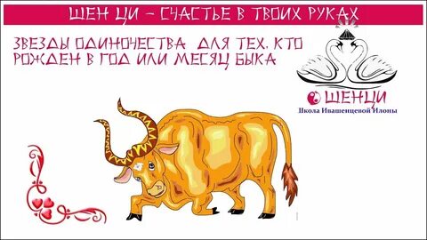 Год быка месяц