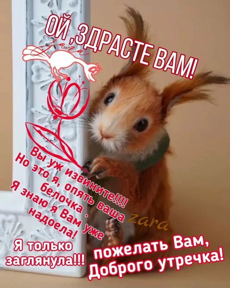Доброе утро начинается с добрых мыслей. С добрым утром лета картинки. доброе утро красивые.