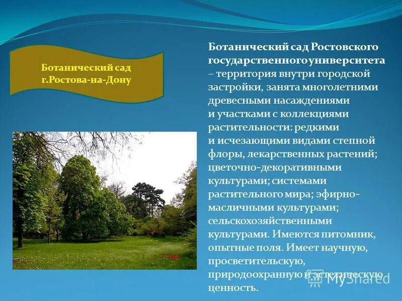 сочинение ботанический сад. ботанический сад новосибирск. рассказ про ботанический сад самара. задачи дендрологических парков и ботанических садов. ботанический сад презентация.