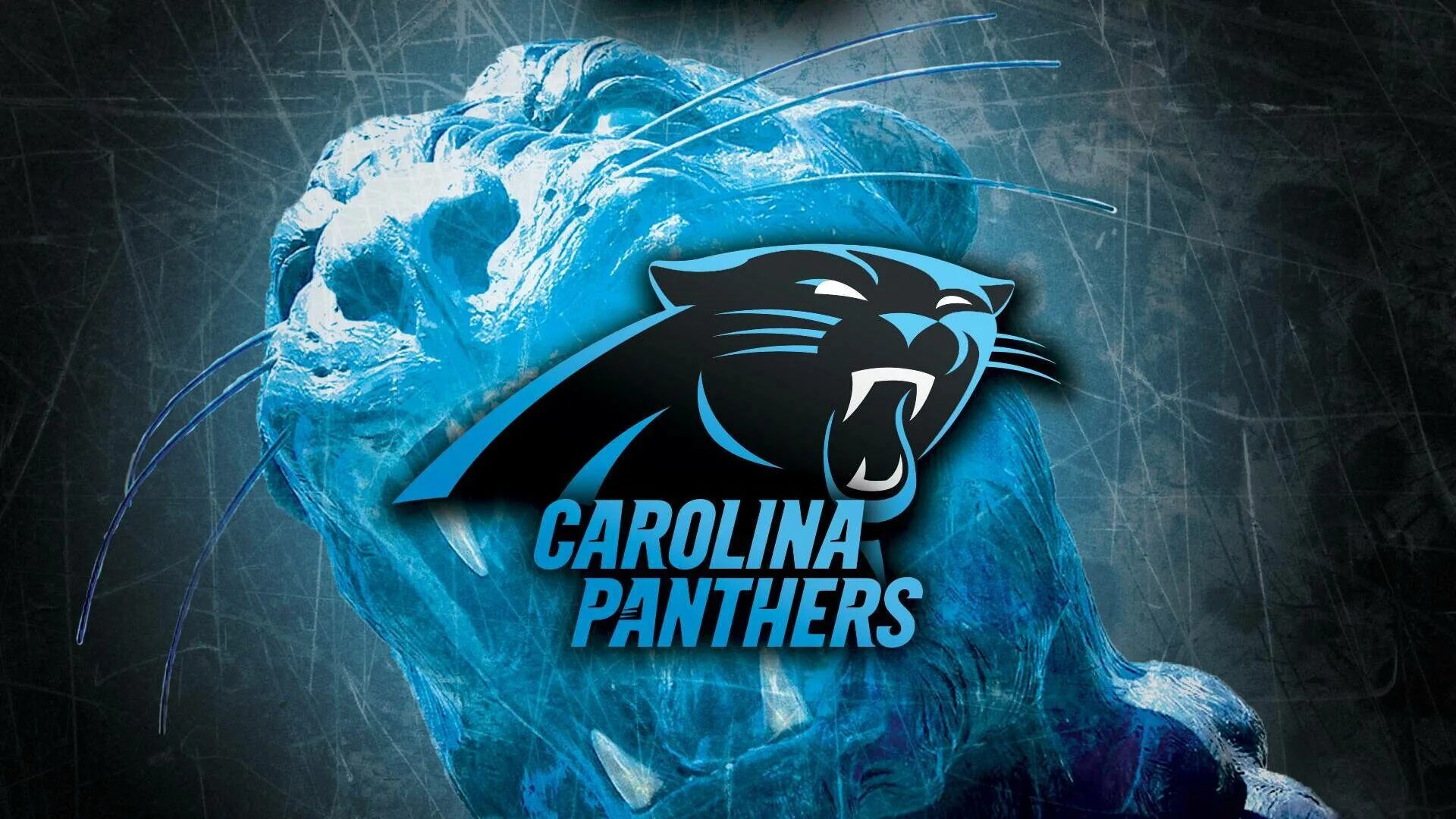 Девиз пантер. Carolina panthers. carolina panthers logo. пантера логотип. north carolina panthers.