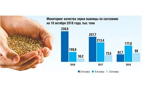 Качество зерна