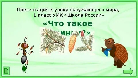 Рэш что такое хвоинки 1 класс