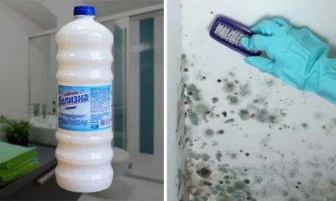 Белизна от плесени