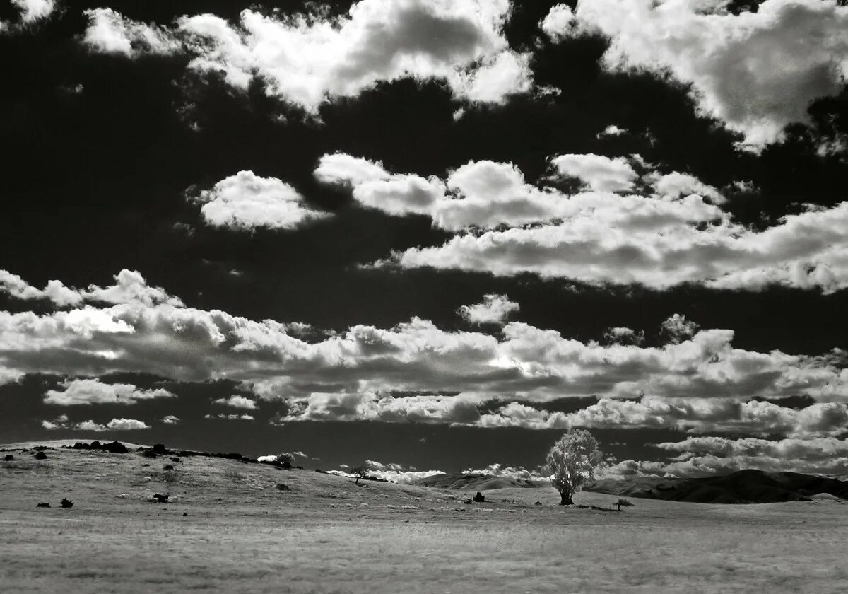 Monochrome sky