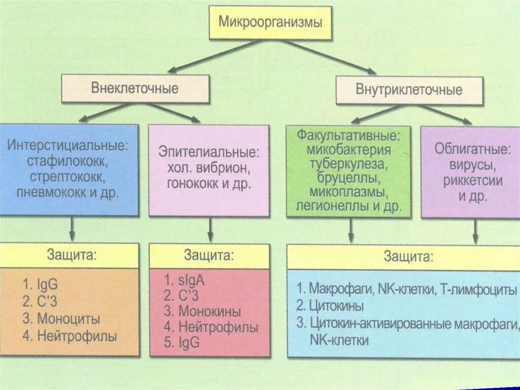 Класс функц. Инф функц общ. 4 функц класса хан.