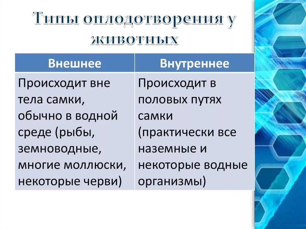 Типы оплодотворения 10 класс. Сравнительная таблица внешнее и внутреннее оплодотворение. Типы оплодотворение животных 6 класс биология. Типы оплодотворения схема 10 класс.