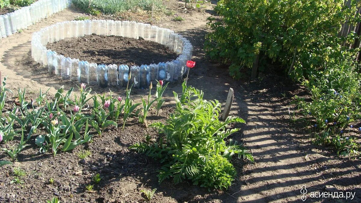 Бордюр из пластиковых бутылок. Клумбы из бутылок. клумбы из пластмассовых бутылок. ограждение клумбы из подручных средств. бордюр для клумбы из подручных материалов.