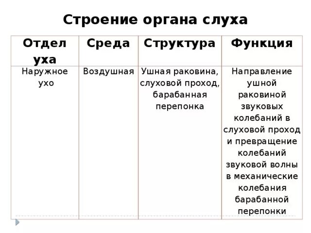 Строение и функции органа слуха таблица. Таблица строение органа слуха 8 класс по биологии. Строение уха отделы строение и функции. Отделы уха строение и функции таблица.