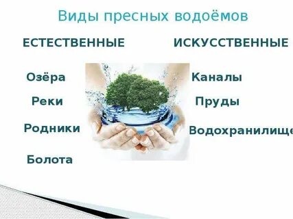 Пресные водоемы презентация