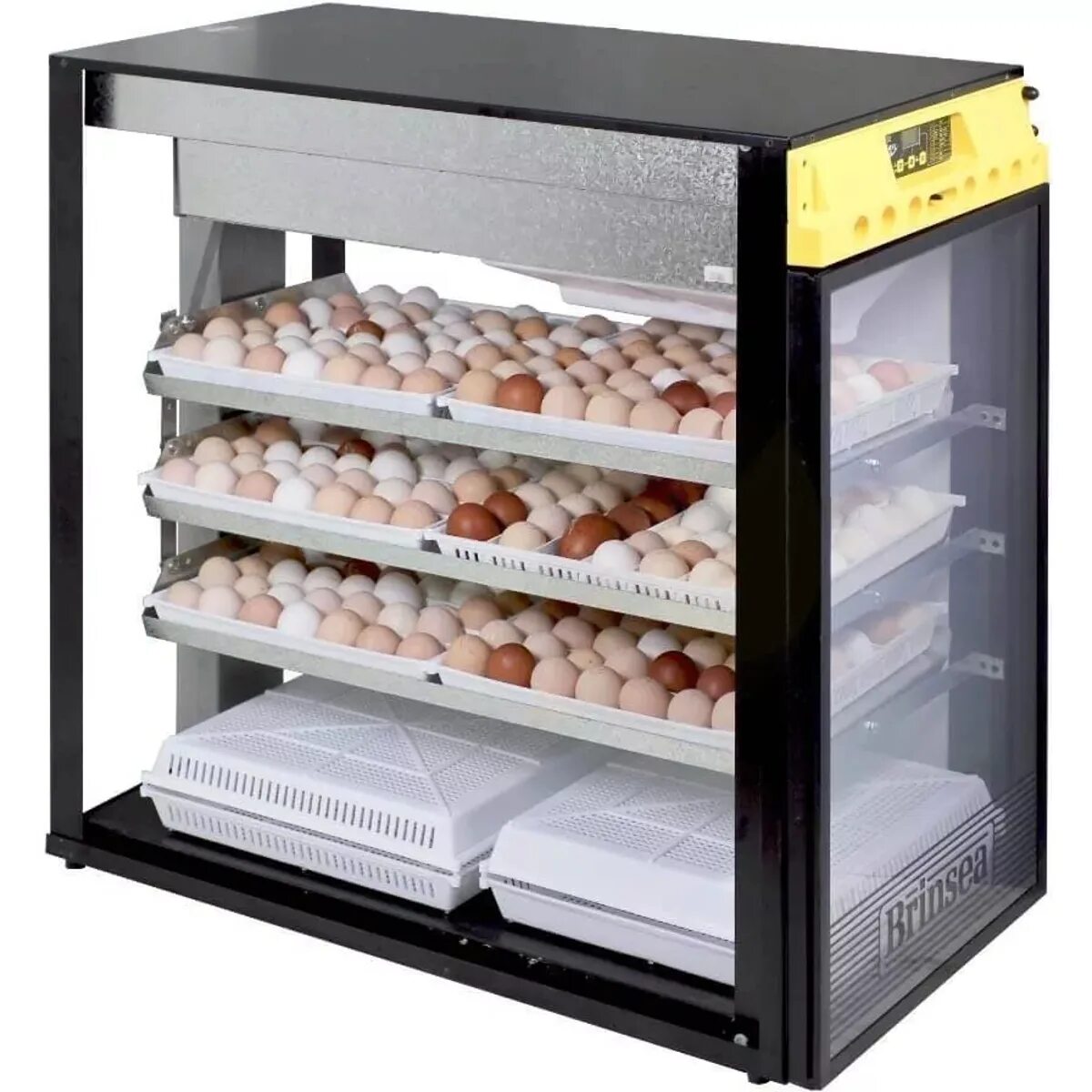 Какой инкубатор для дома лучший. Инкубатор ova-easy advance ex ser ii 380 с помпой. инкубатор brinsea ovaeasy 190 advance ex. инкубатор brinsea ova-easy 380. ova easy advance инкубатор.
