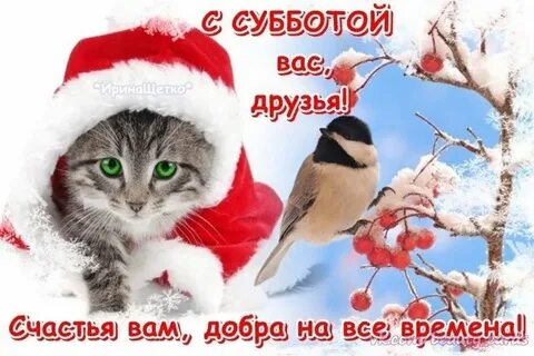 Доброе утро зимний субботы прикольные картинки