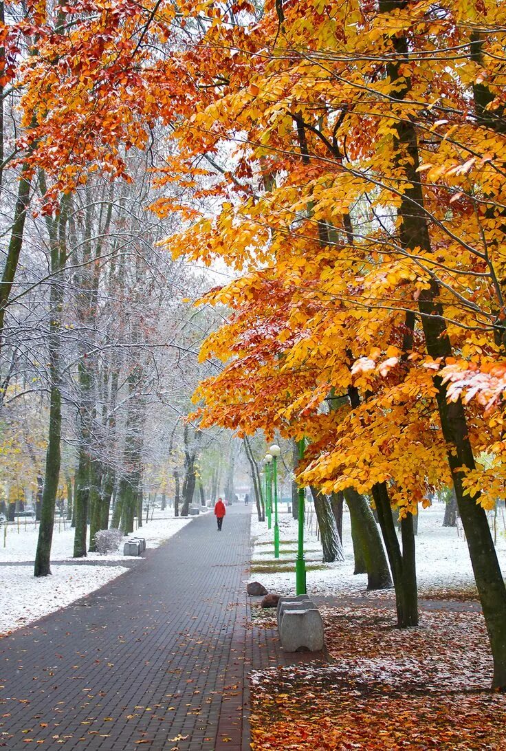 Утро ноября картинки красивые. Осень зима. Встреча осени и зимы. Осенне зимний пейзаж. Осенний пейзаж ноябрь.