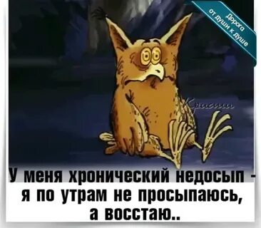 Ну я просыпаюсь