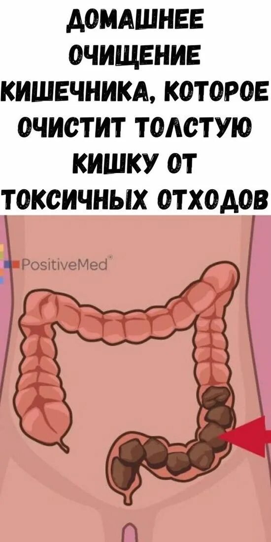 Голод и кишечник. Очищение толстого кишечника. очищение толстой кишечника.
