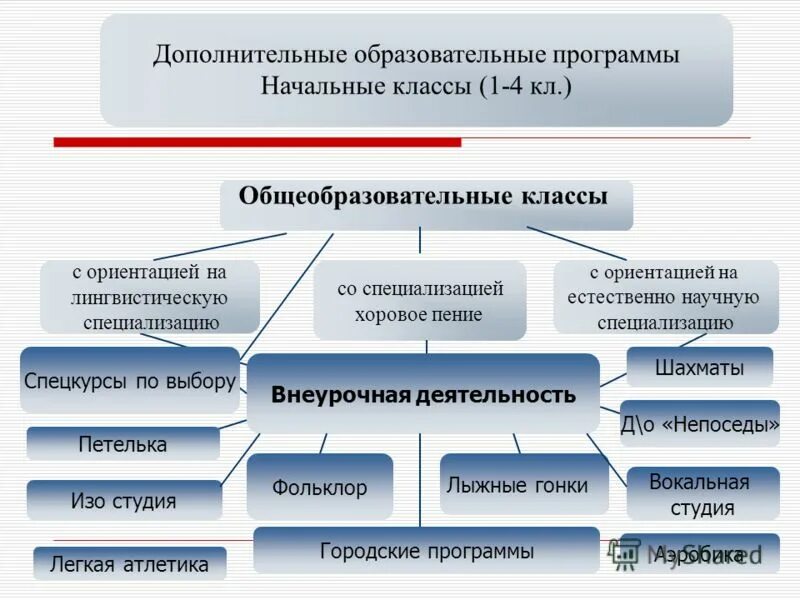 программы естественно научные дополнительное образование