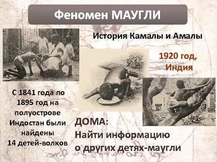 Что будет если победит камала