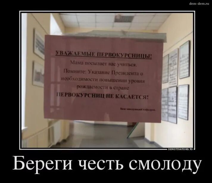 Береги честь с молодости. Рисунок на тему береги честь смолоду. Поговорка береги честь смолоду. Береги платье снову а честь смолоду. Что значит береги честь смолоду.