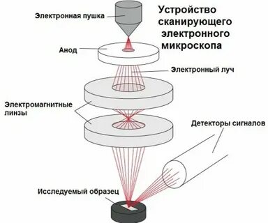 Принцип электронного микроскопа