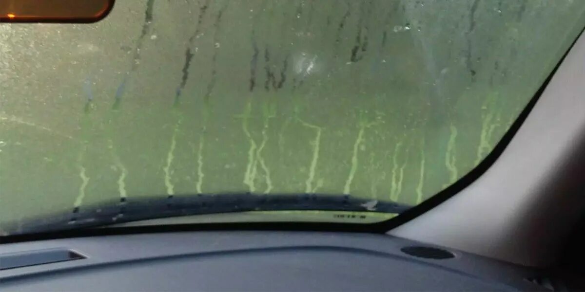 Запотевает стекло в дождь. Запотевшие стекла в машине. Места запотевания лобового стекла. Потеет стекло в автомобиле. Замерзшее лобовое стекло.
