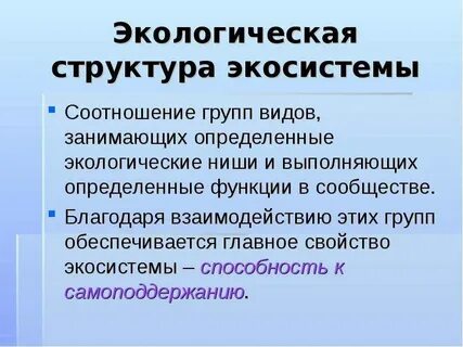 Функции биогеоценоза